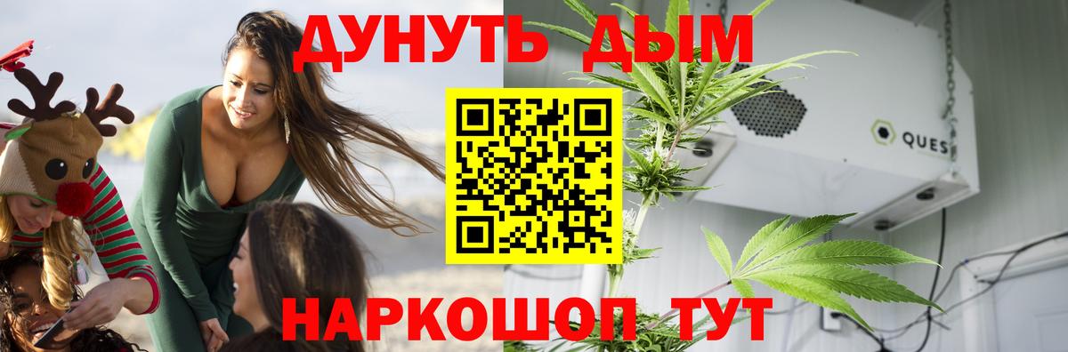 Бошки марихуана конопля Сызрань